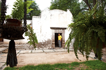 Houses with Vaulted Roofs