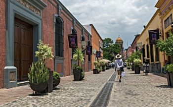 Tequila Factories
