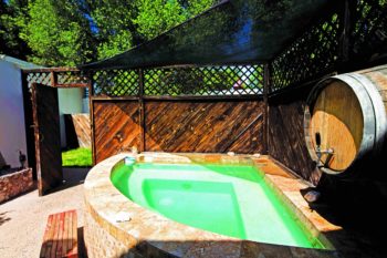 Hotel Hacienda Santa Verónica