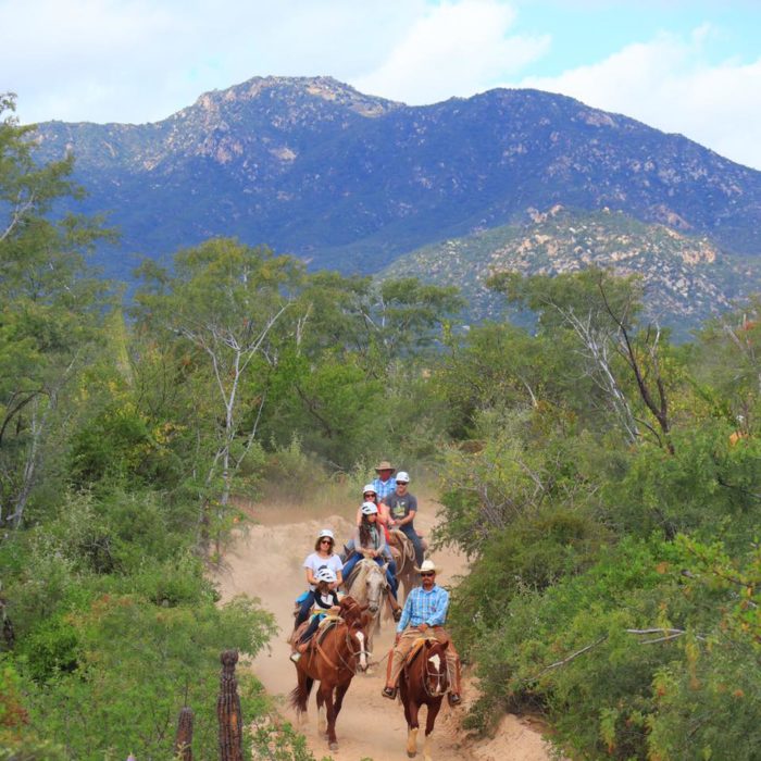 Baja-california-sur-wild-canyon-caballos