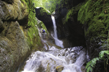 Try Rappelling or Go for a Walk