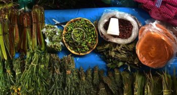 Monday Tianguis