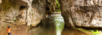 Visit El Arcotete