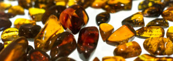 Amber Museum