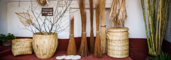 Cane and Wicker Market