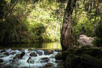 Whiz Down a Zip Line in Parque Los Molinos
