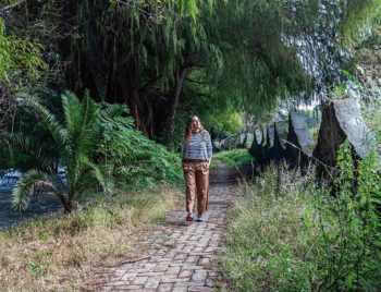 Explore the Eco Parque El Sabinal