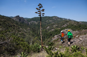 Ecotura El Chico