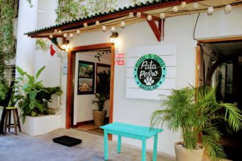 Hostal & Suites Pata de Perro