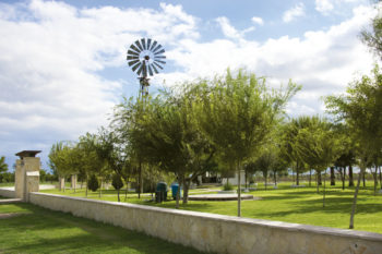 Don Baldomero Vineyards