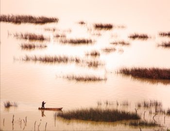 Take a Boat Ride on Lago de Cuitzeo