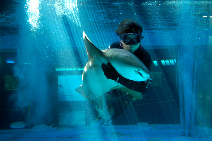 Acuario de Mazatlán