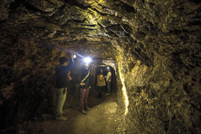 Mina de Santa Gertrudis