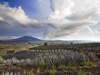 Take In the Agave Landscape from the Tequila Volcano