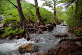 Spend the Afternoon in Río Cuchujaqui