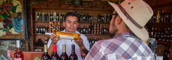 Head down the Wine and Cheese Route