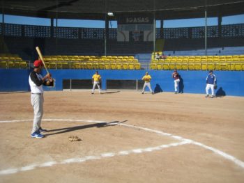 Enjoy a Baseball Game
