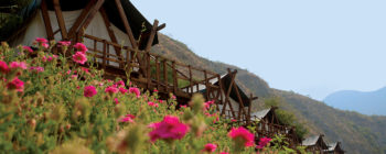 Campamento El Jabalí