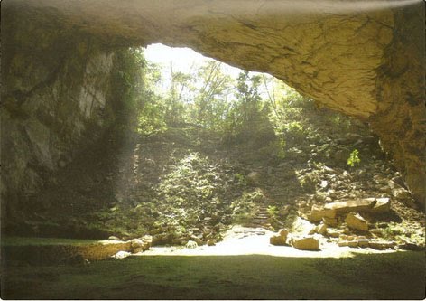 cueva de totomochapa-orizaba-veracruz