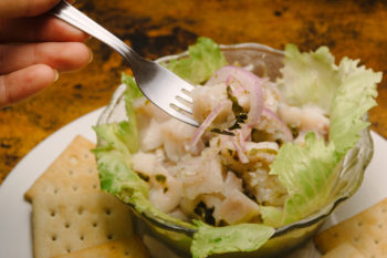 Los Girasoles Cuitzeo