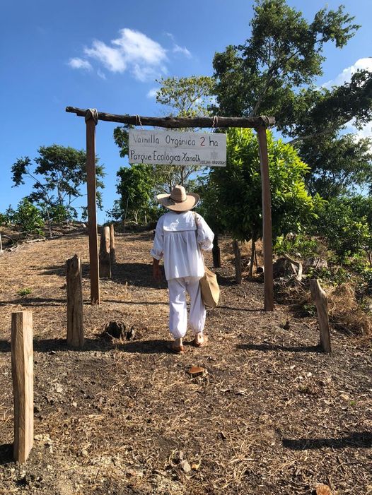 copark-Xanath-Papantla-Veracruz