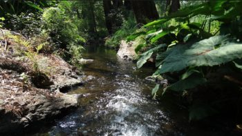 Spend a Day in Ex Molino de San Bernardo