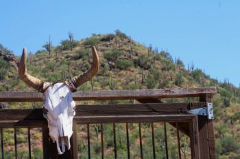 Spend Time in Nature in Rancho Ecoturístico El Peñasco