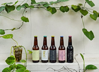 Festival de la Cerveza y el Mezcal