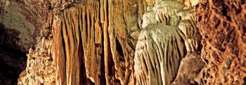Explore the Grutas de Rancho Nuevo