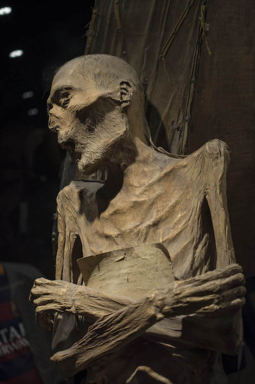 Museo de las Momias de Guanajuato