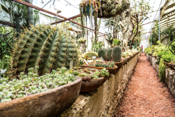 Botanical Gardens