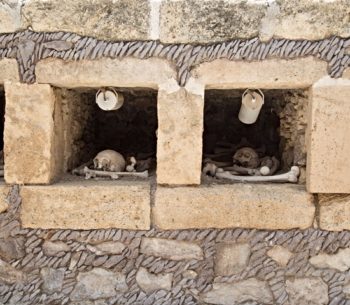 Tepezalá y Real de Asientos Místico