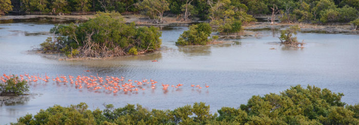 Reserva de la Biosfera de Celestún