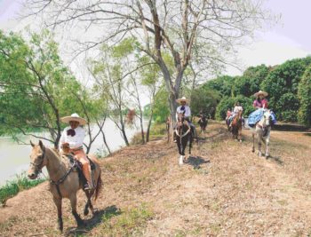 Horseback Ride Along the Riverbank