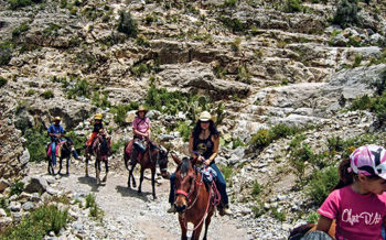 Take a Horseback Ride Between Hills and Mines