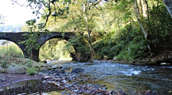 Virrey Bridge