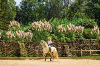 Play Golf or Go Horseback Riding in Avándaro