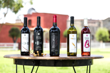 Ruta arte, queso y vino