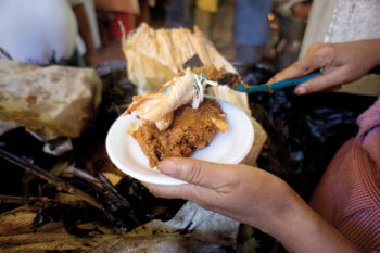 Sample Delicious Zacahuil