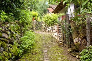 Explora el pueblo minero