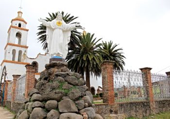 Honguito Sanctuary