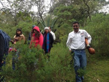 Realiza un recorrido con Sierra Tours