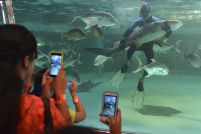 Acuario Mazatlán