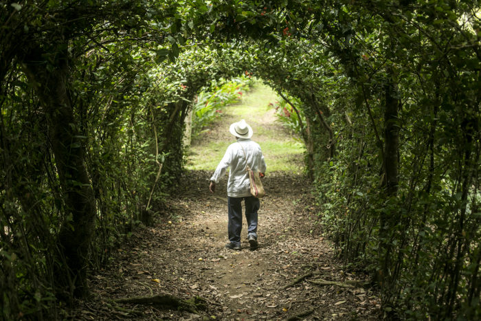 Jardín de Dios