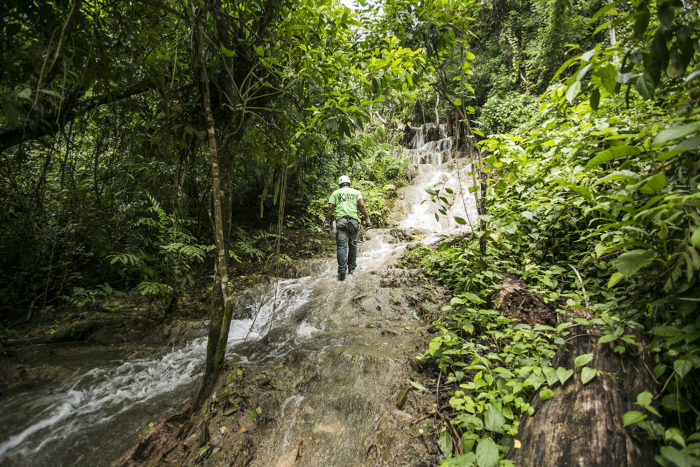 Reserva Ecológica de Kolem Jaá