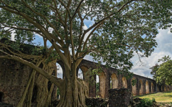 Visit Old Haciendas