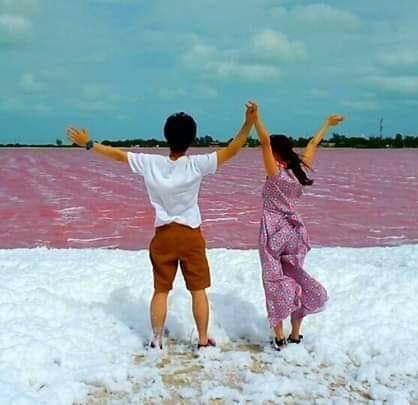 Luis Fernando Osorio Sánchez-guia-Tour-Las coloradas-Mérida