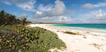 Beaches