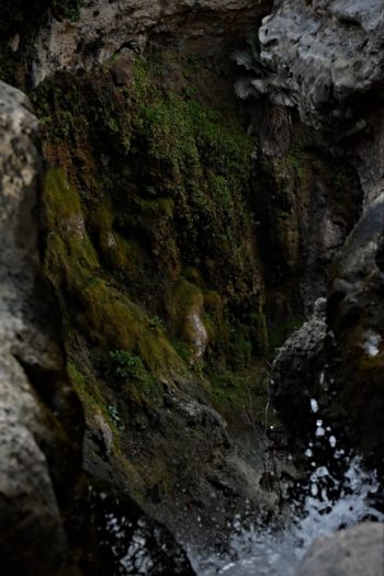 Check Out Cave Paintings
