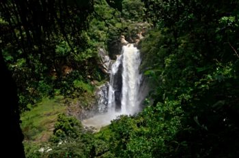 Chorro Conejo Falls